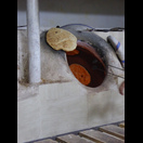 Brote werden an der Ofenwand gebacken